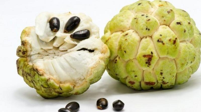Ramphal is very beneficial for health Ramphal is very beneficial for health