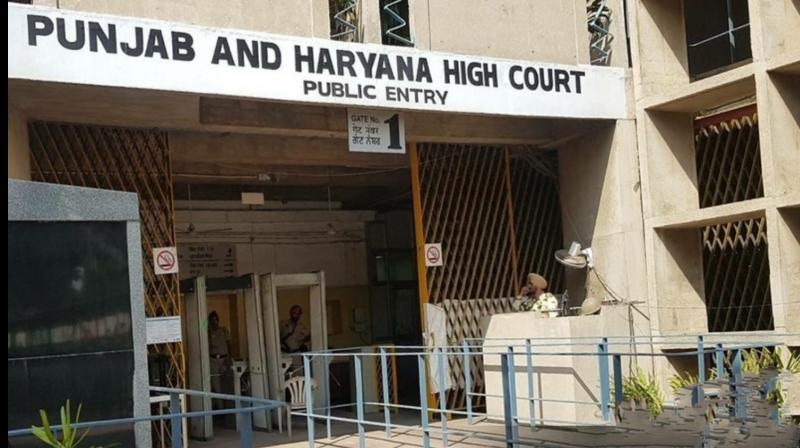Punjab and Haryana High court Punjab and Haryana High court