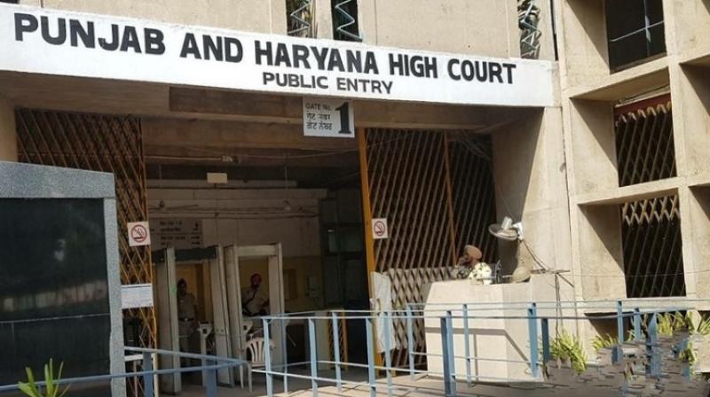 Punjab and Haryana High court Punjab and Haryana High court