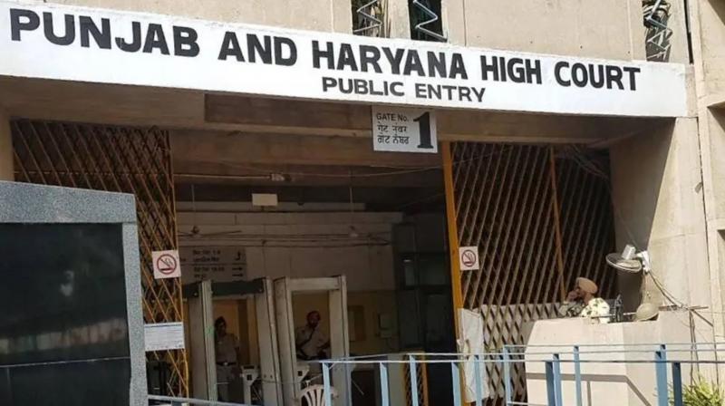 High court: Instructions to government to formulate litigation policy, report sought from chief secretary High court: Instructions to government to formulate litigation policy, report sought from chief secretary