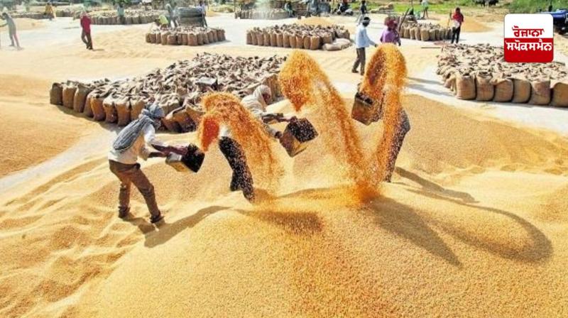 Target of 124 lakh tonnes of wheat procurement for central storage achieved Target of 124 lakh tonnes of wheat procurement for central storage achieved