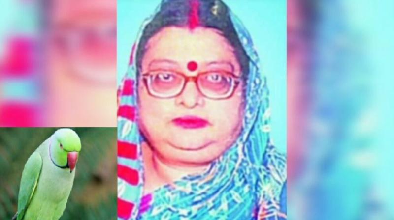 The mistress was murdered 9 years ago, the parrot exposed the killers The mistress was murdered 9 years ago, the parrot exposed the killers