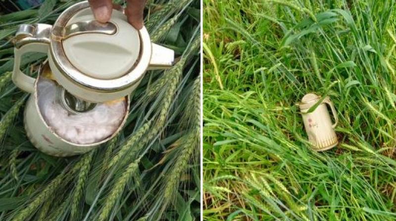 BSF recovered 810 grams of heroin from Bhorupal in Amritsar BSF recovered 810 grams of heroin from Bhorupal in Amritsar