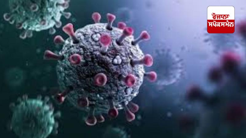 World Health Organization issues alert regarding Corona World Health Organization issues alert regarding Corona