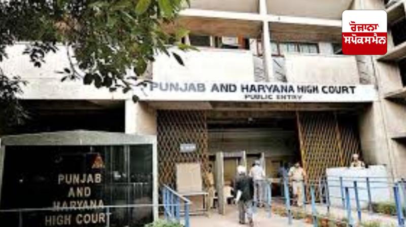 Punjab-Haryana High Court: 'Order to stop felling of trees not complied with, notice given for defamation proceedings' Punjab-Haryana High Court: 'Order to stop felling of trees not complied with, notice given for defamation proceedings'