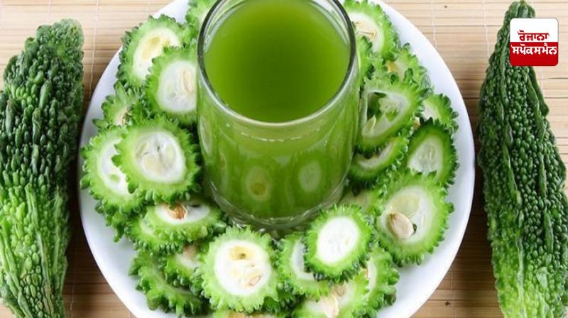 Drinking bitter gourd juice will strengthen immunity. Drinking bitter gourd juice will strengthen immunity.