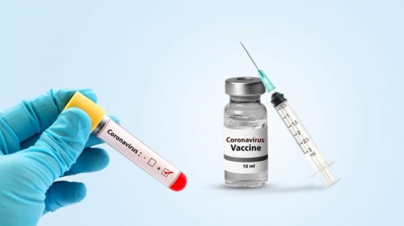 coronavirus coronavirus