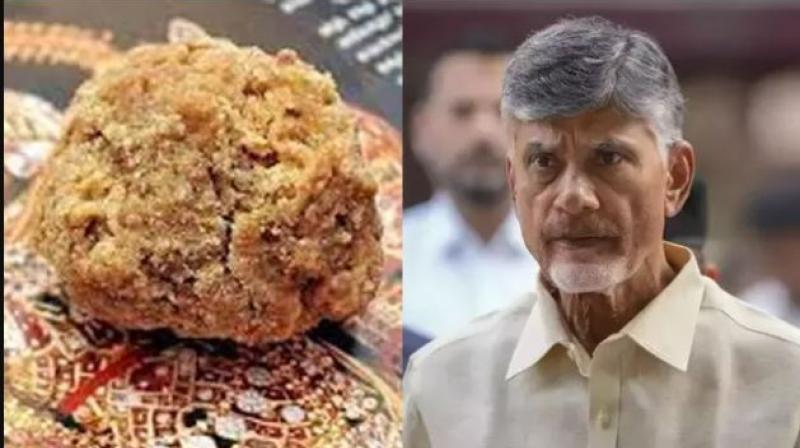 CM Chandrababu Naidu CM Chandrababu Naidu