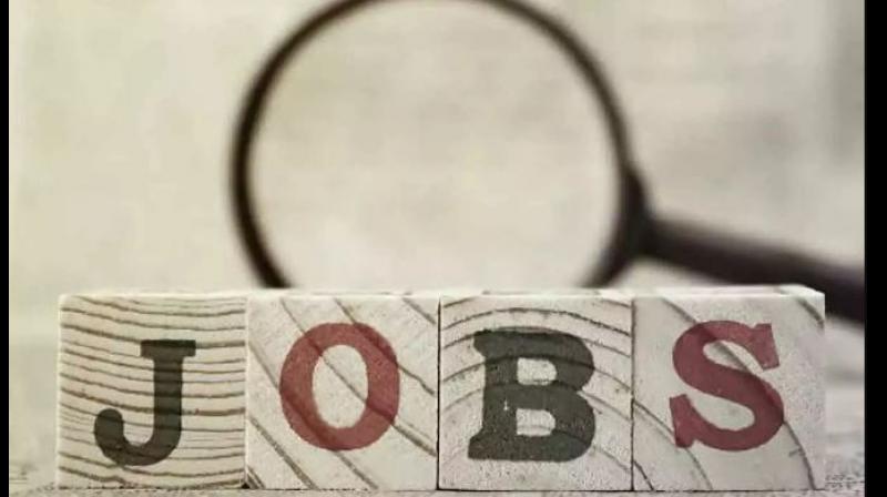 Government Job 2024 Government Job 2024