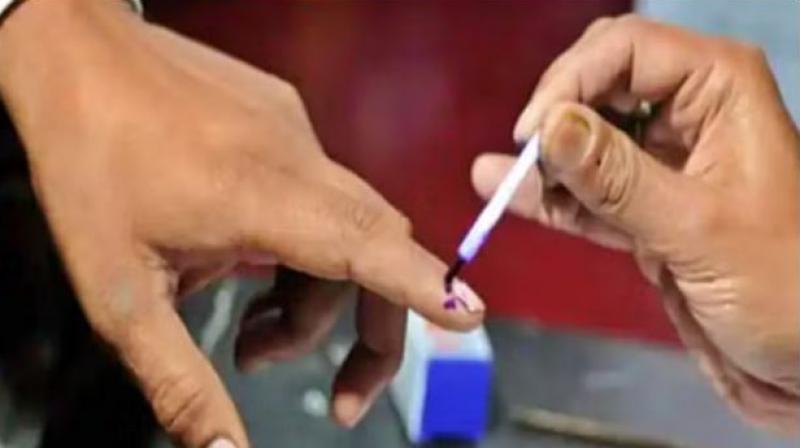 Panchayat Elections 2024 Panchayat Elections 2024