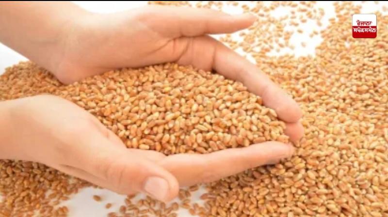 Grain Production