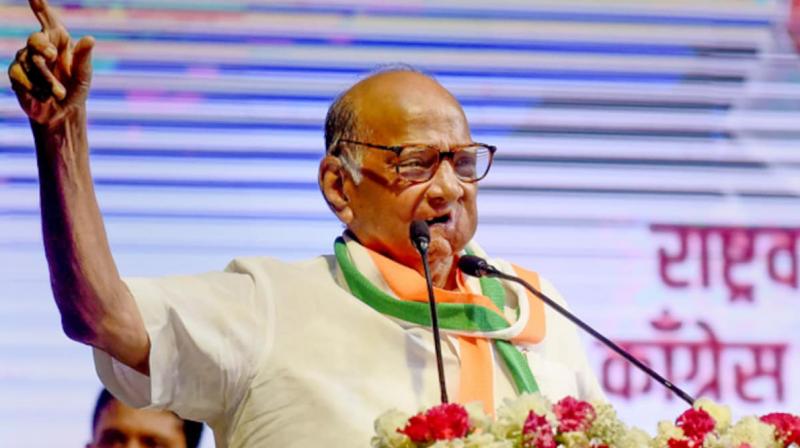 Sharad Pawar To Join Congress's Bharat Jodo Yatra in Maharashtra Sharad Pawar To Join Congress's Bharat Jodo Yatra in Maharashtra