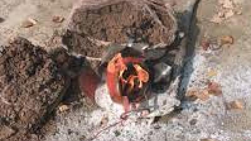 IED recovered in J&K's Parimpora IED recovered in J&K's Parimpora