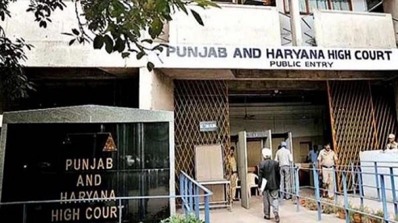Punjab & Haryana High Court Punjab & Haryana High Court