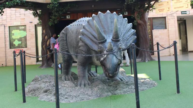Gujarat unexplored place dinosaur fossil park in balasinor