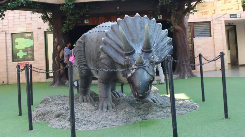 Gujarat unexplored place dinosaur fossil park in balasinor Gujarat unexplored place dinosaur fossil park in balasinor
