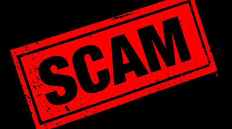 Scam Scam