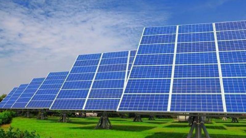 Solar Plant Solar Plant