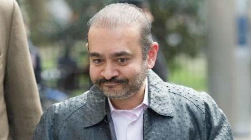 Nirav Modi