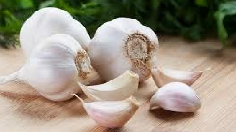 Garlic Garlic