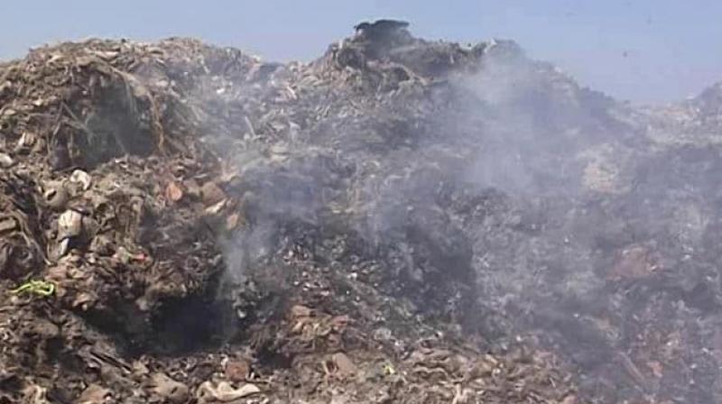 Punjab Calls For Use Of Eco-Friendly Election Items To Prevent Waste Punjab Calls For Use Of Eco-Friendly Election Items To Prevent Waste