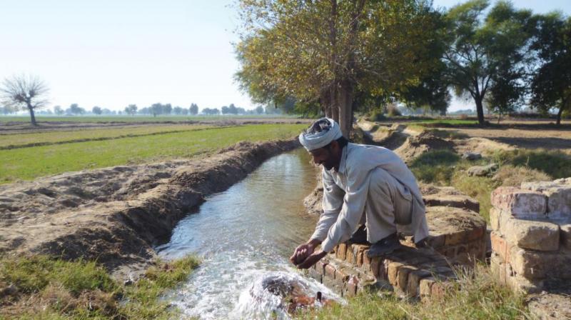 Irrigation Project