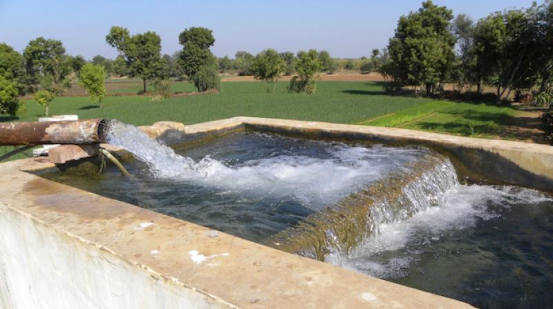Punjab become desert state in 25 yrs Punjab become desert state in 25 yrs