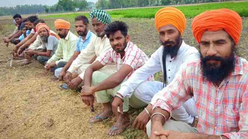 Dalit landless farmers in Punjab 
