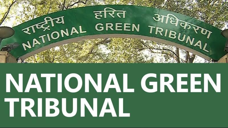 National Green Tribunal