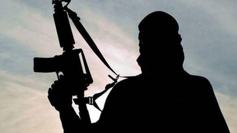 Terrorist groups Terrorist groups