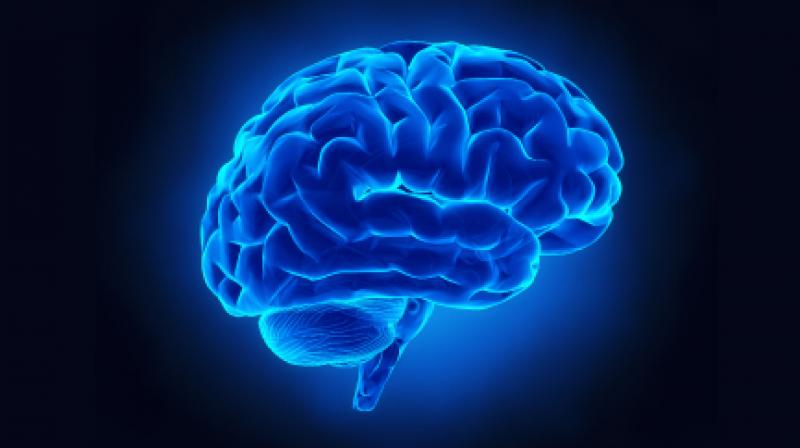 Healthy brain Healthy brain