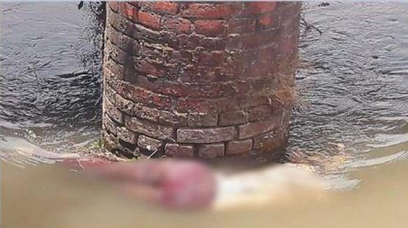 Girl dead body found without head Girl dead body found without head
