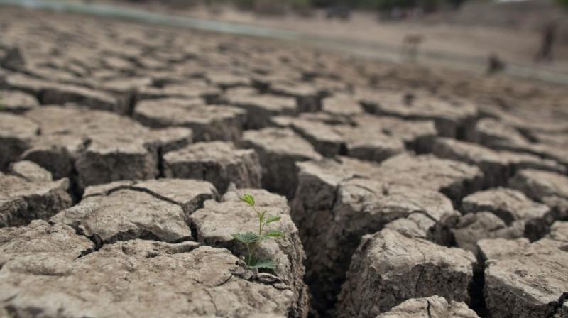 Drought Drought
