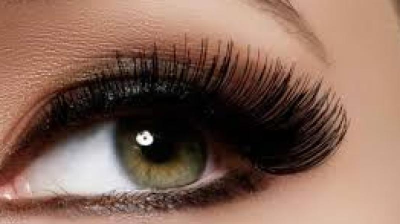 Eye Lashes Eye Lashes