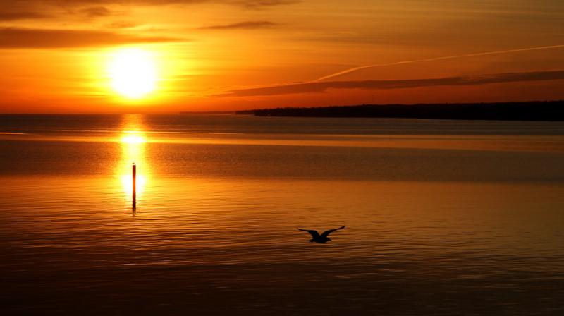 Sunset Sunset