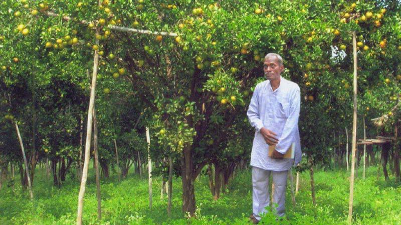 Subhash Palekar Subhash Palekar