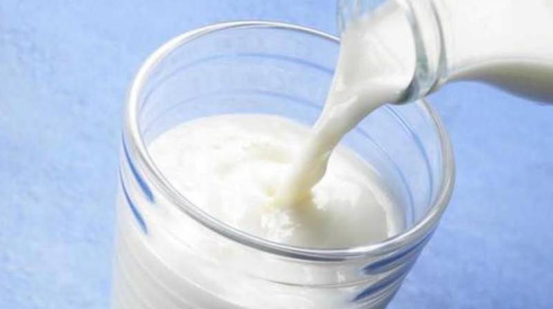 2 brothers turned millionaires in 7 yrs, sold synthetic milk 