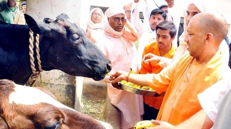 Yogi Adityanath Yogi Adityanath