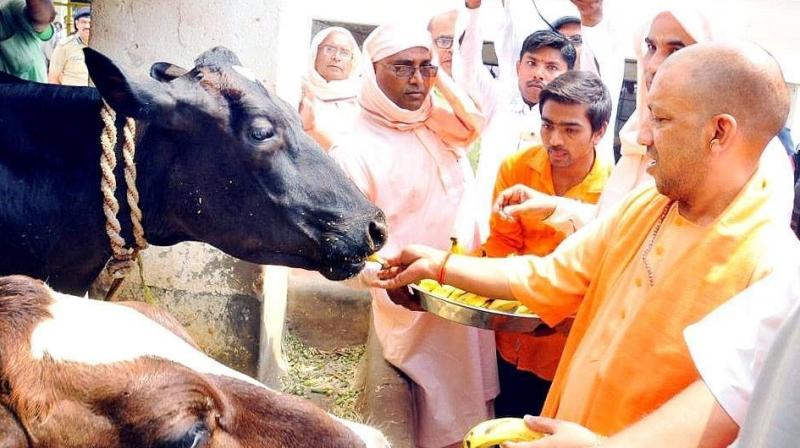 Yogi Adityanath 