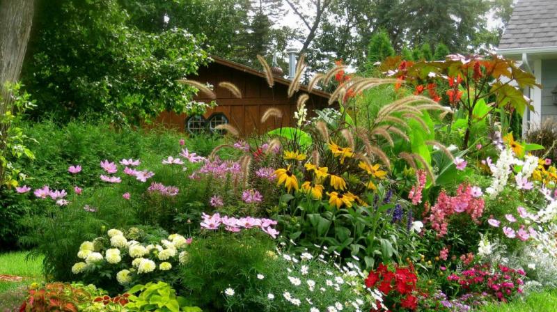 Gardening Gardening