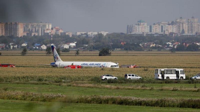 Russian Plane Hits Birds Minute After Takeoff