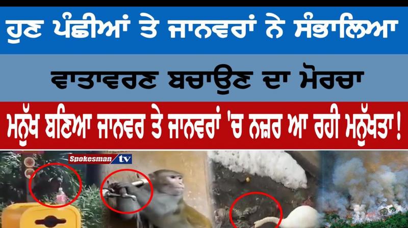 Animals save environment Animals save environment