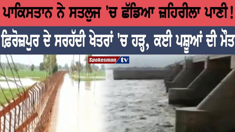 Pakistan releases poisonous water in Sutlej!