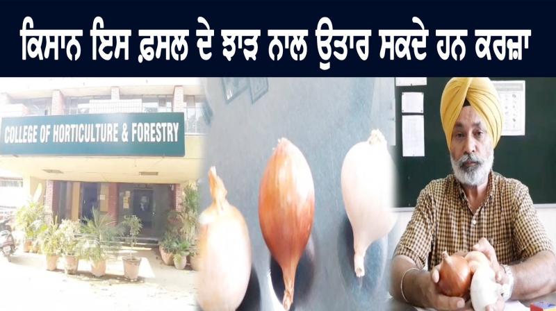 New research done by Punjab Agricultural University New research done by Punjab Agricultural University