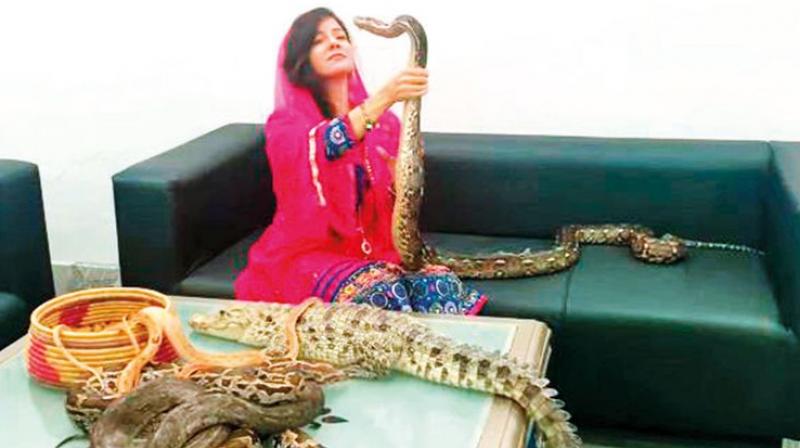 Rabi Pirzada Rabi Pirzada