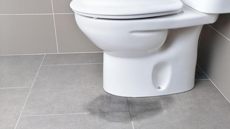 Woman Rescued by Police After Being Trapped in bathroom Woman Rescued by Police After Being Trapped in bathroom