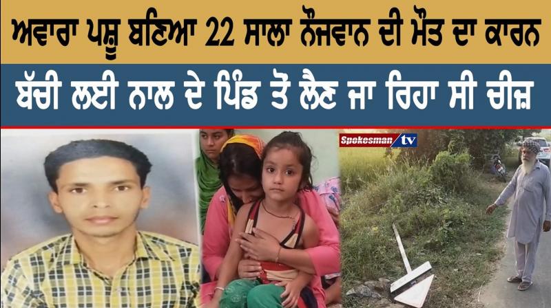 The stray animal became the cause of the death of a 22-year-old young man The stray animal became the cause of the death of a 22-year-old young man