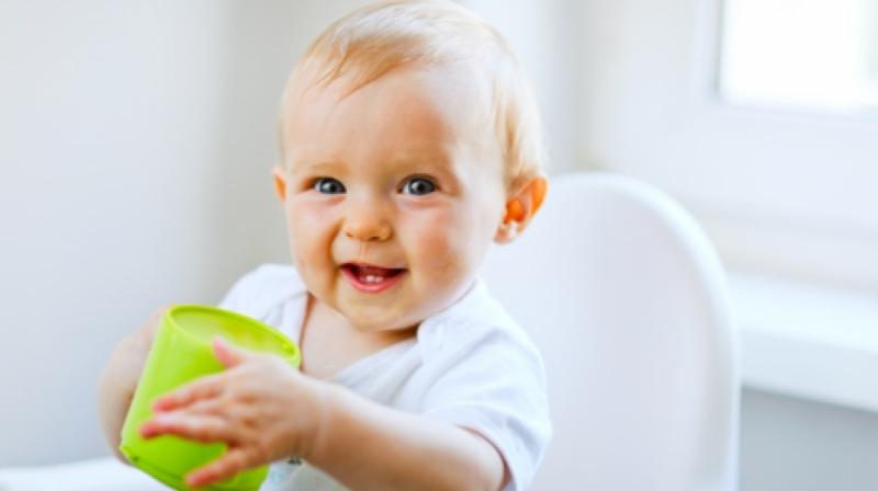 plants based milk does not provide full nutrition to young children