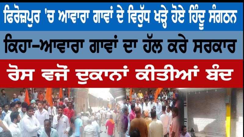 Hindu organizations set up against Stray cattle in Ferozepur