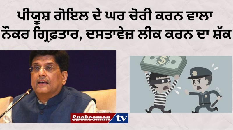 Piyush Goyal